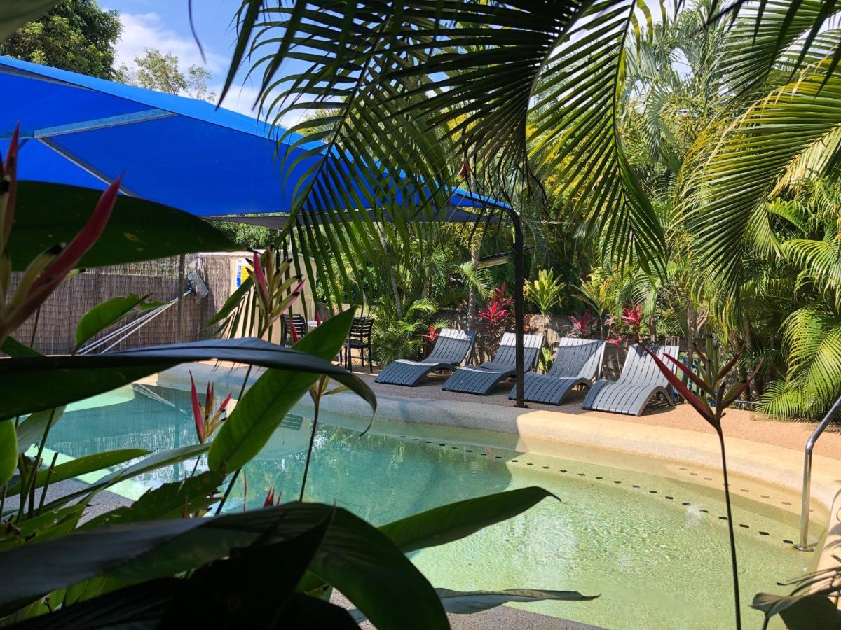 Tropical Palms Resort & 4Wd Hire Picnic Bay Eksteriør billede