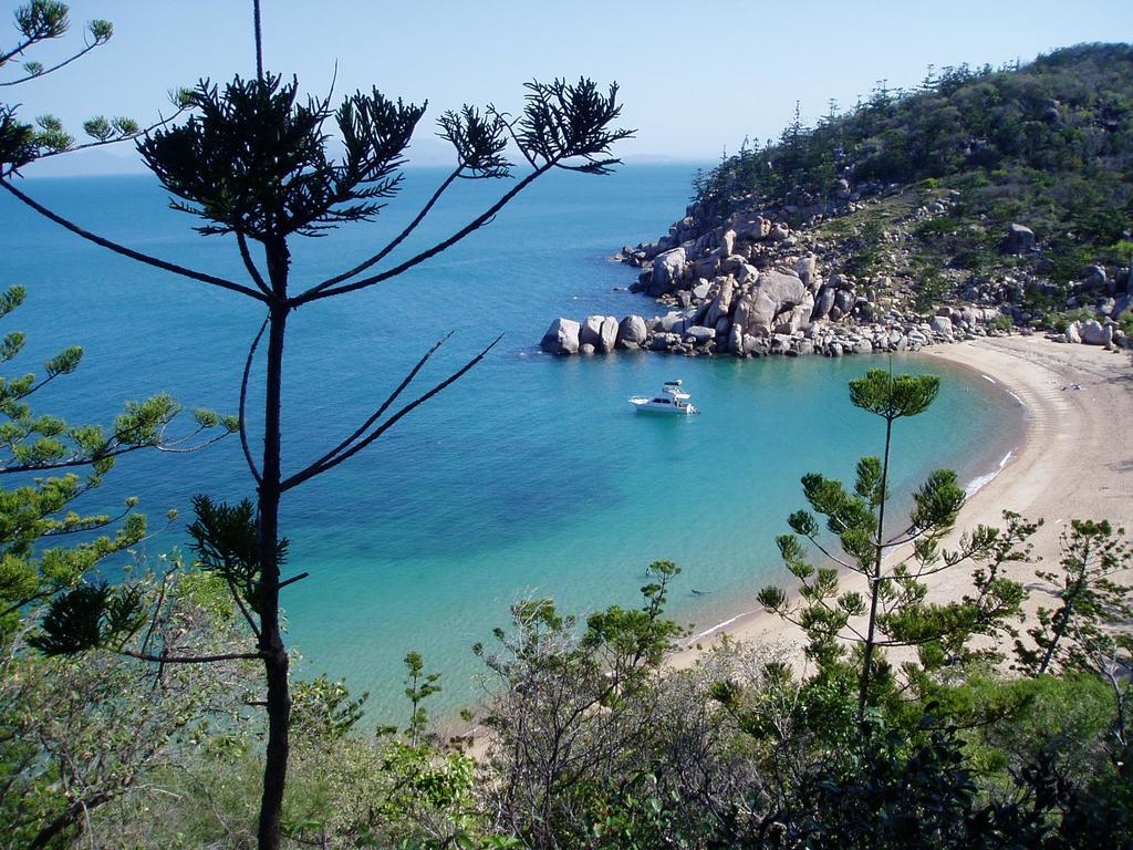 Tropical Palms Resort & 4Wd Hire Picnic Bay Eksteriør billede