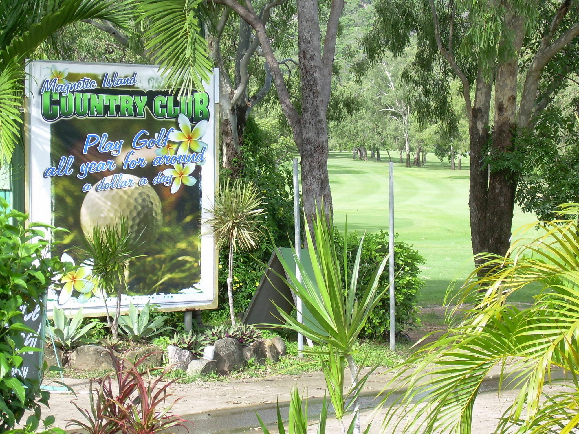 Tropical Palms Resort & 4Wd Hire Picnic Bay Eksteriør billede